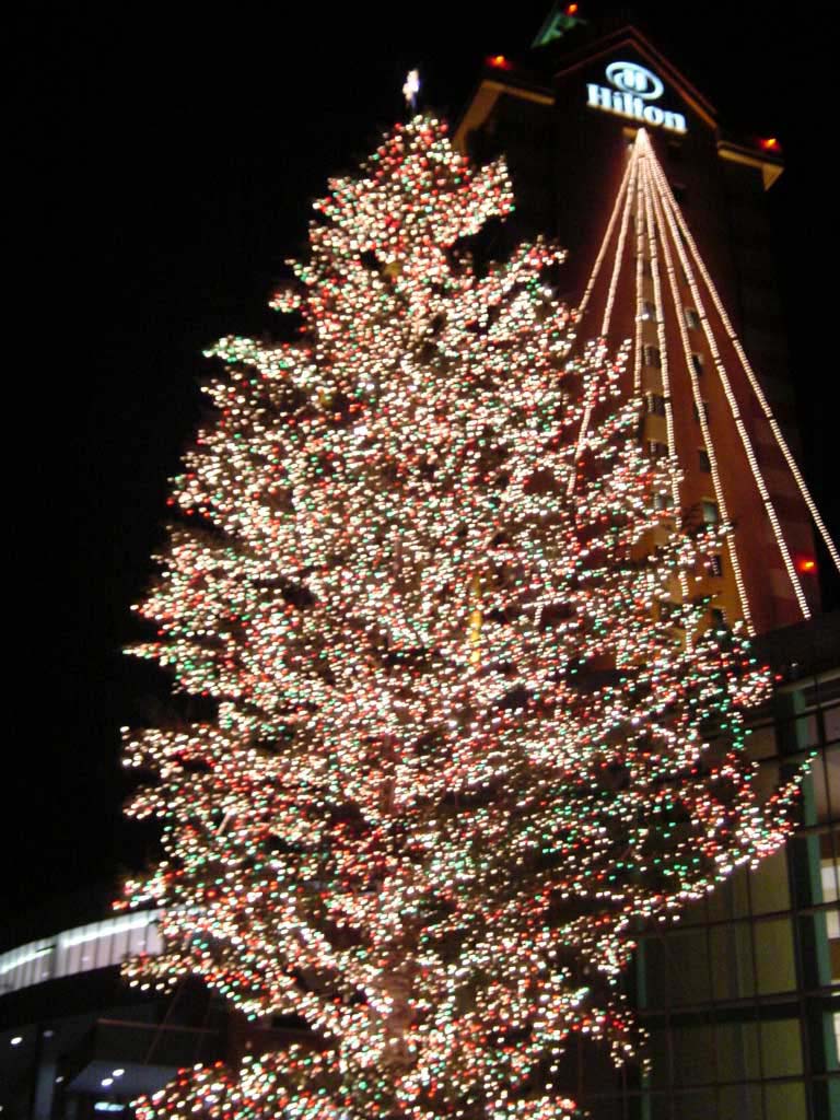 ウイングベイ小樽のクリスマスツリー