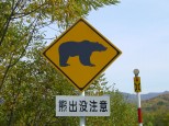 熊出没注意の標識
